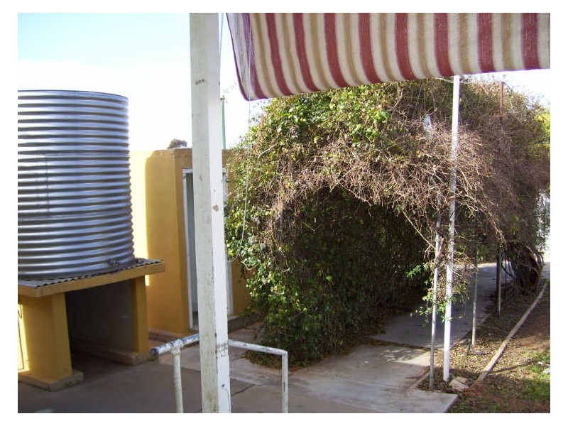 10 Kay Avenue, Berri SA 5343