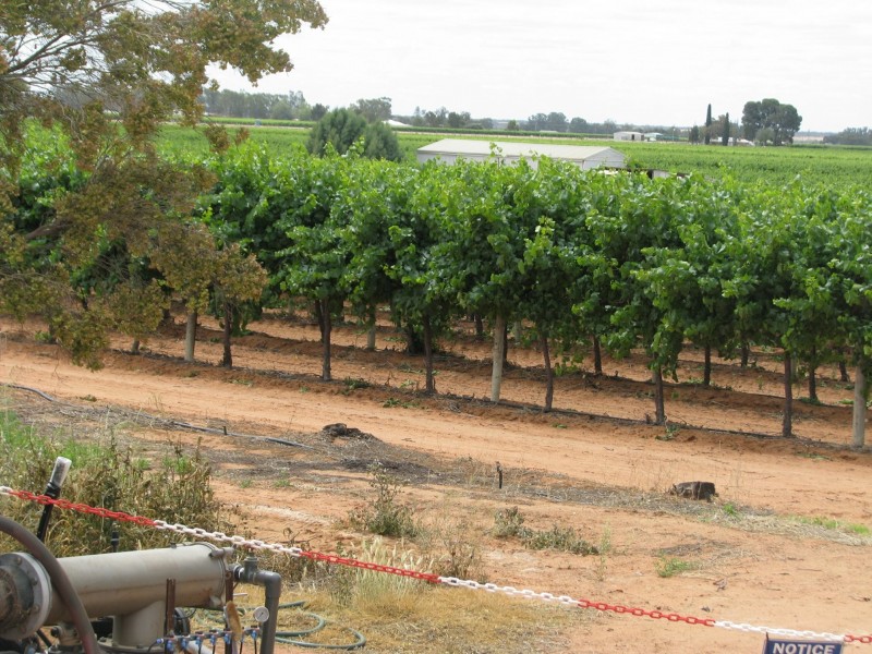 17129 Sturt Highway, Barmera SA 5345