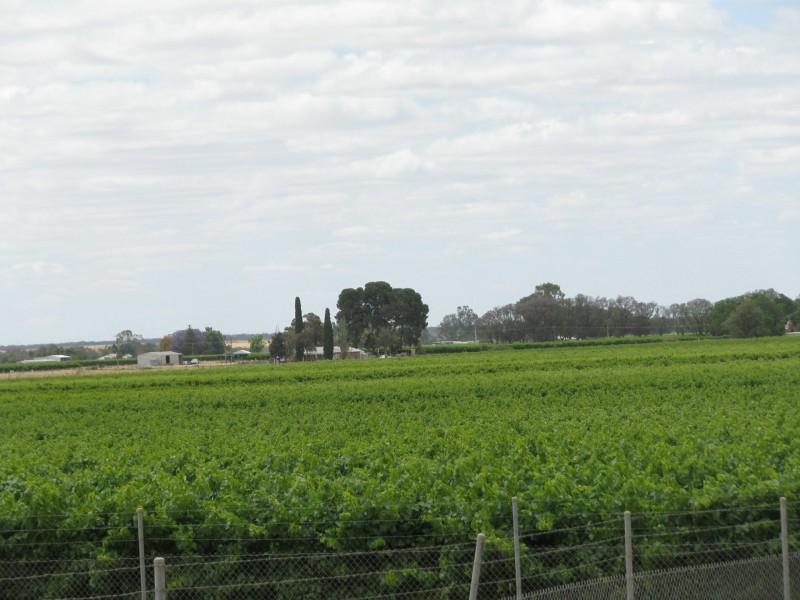 17129 Sturt Highway, Barmera SA 5345