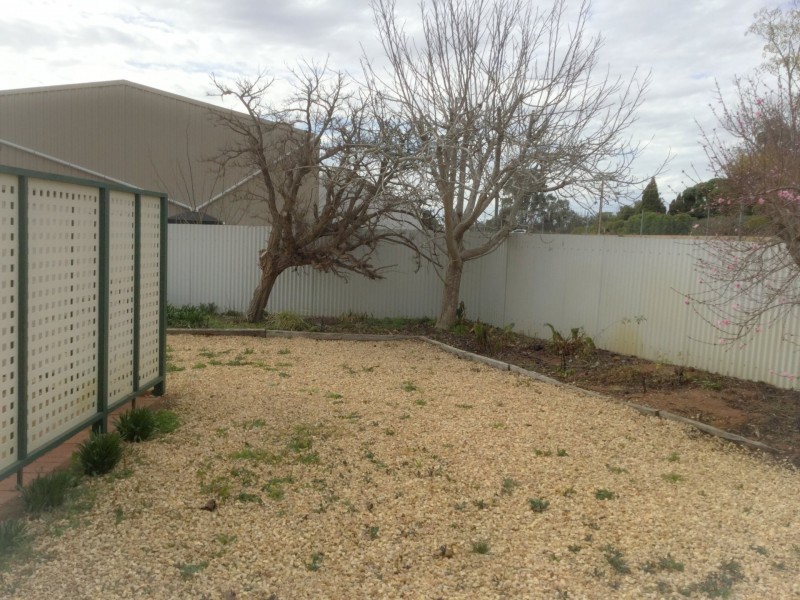 17129 Sturt Highway, Barmera SA 5345