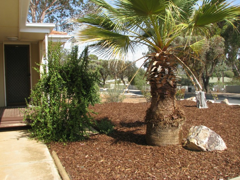 12 Jones Street, Berri SA 5343