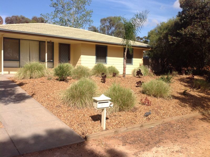 91 Derrick Street, Berri SA 5343