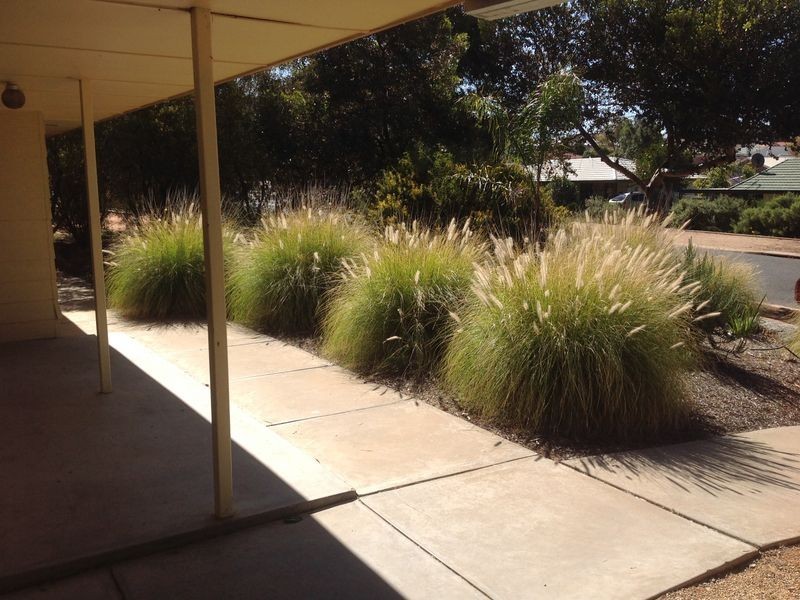 91 Derrick Street, Berri SA 5343