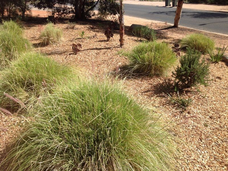 91 Derrick Street, Berri SA 5343