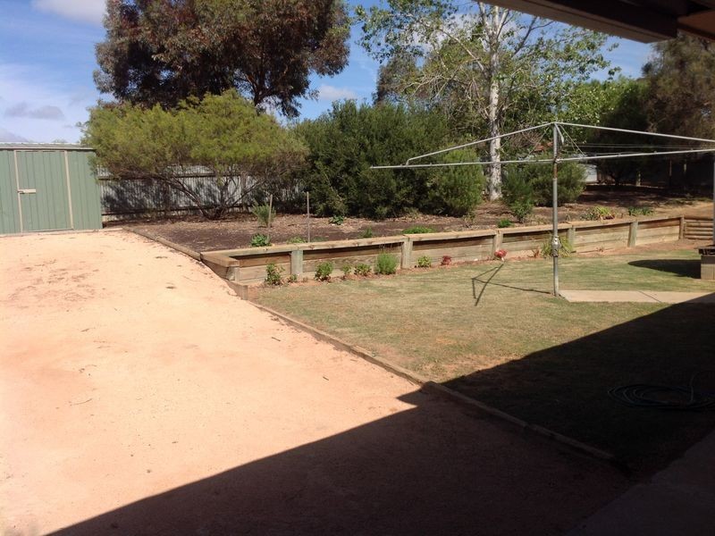 91 Derrick Street, Berri SA 5343