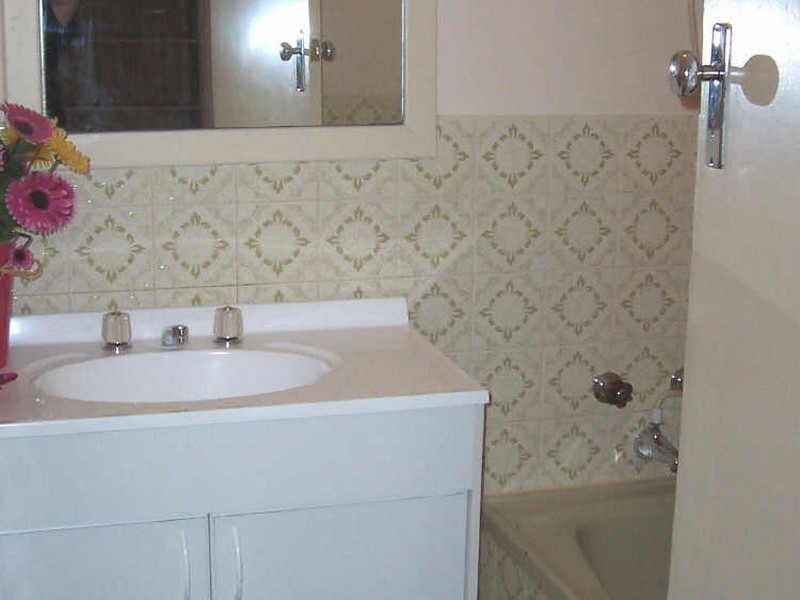 21 Fowles Street, Barmera SA 5345