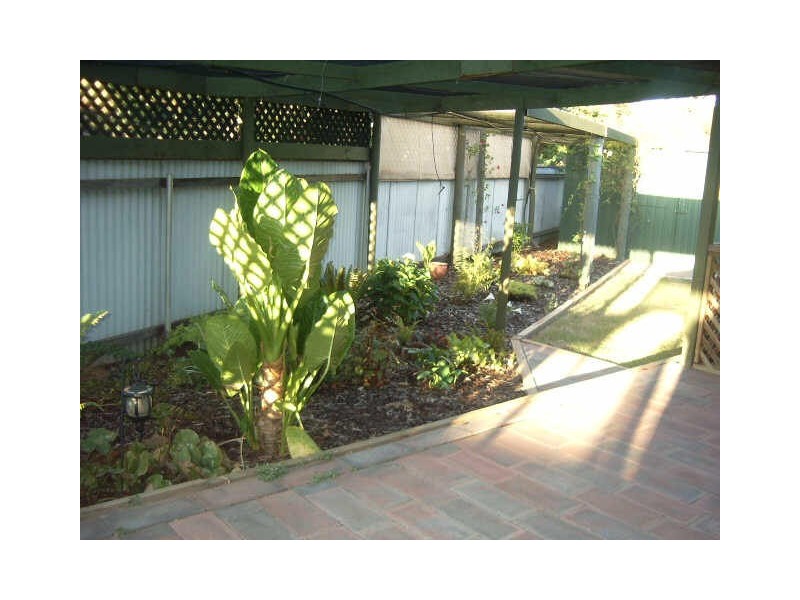 23 LUTHER ROAD, Loxton SA 5333