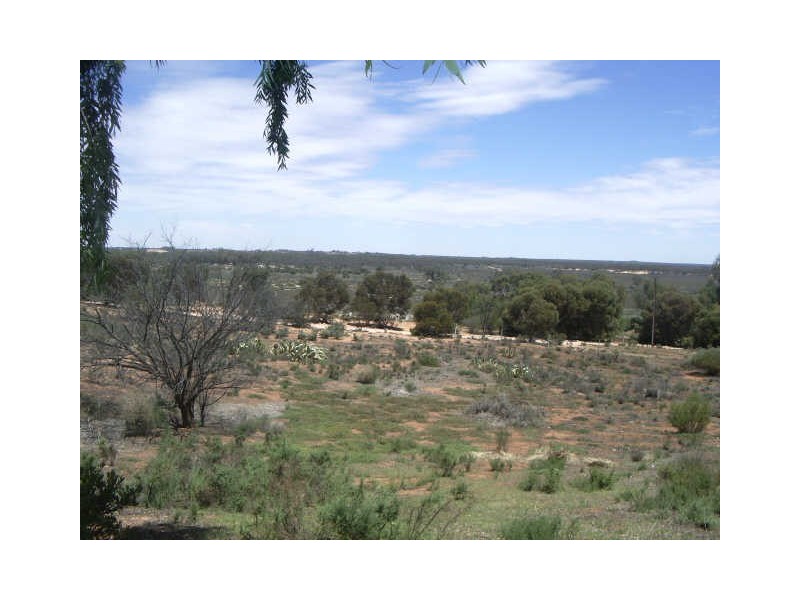 Lot 4 Foreman Road, Berri SA 5343