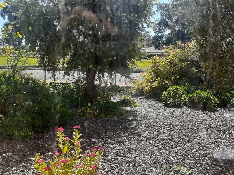 5 Coolibah Crescent, Renmark SA 5341