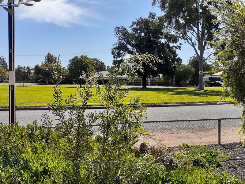 5 Coolibah Crescent, Renmark SA 5341