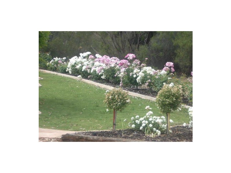 1668 Jury Road, Berri SA 5343