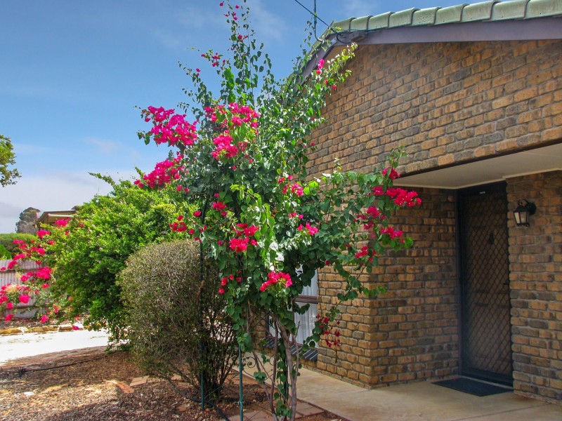 15 Loader Street, Berri SA 5343