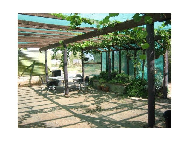 Katarapko Cres, Winkie SA 5343