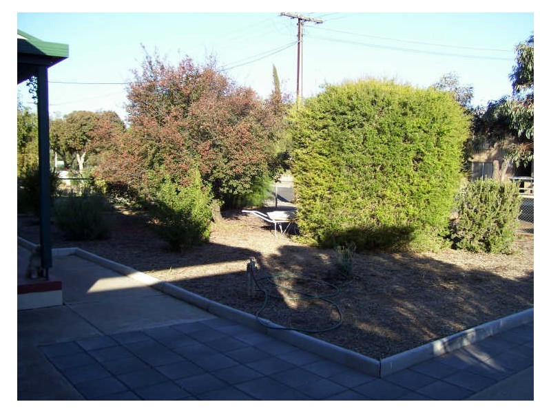 12 Farmer Street, Barmera SA 5345