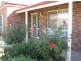 10 Bosman Drive, Berri SA 5343