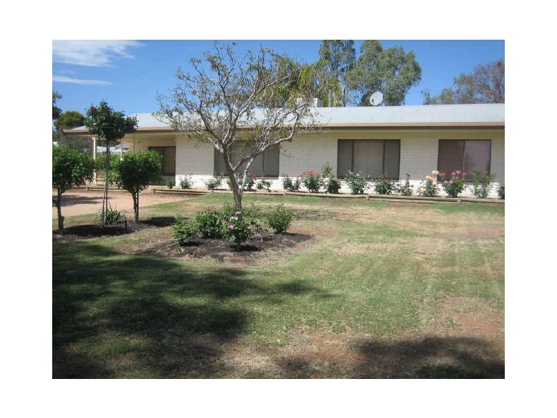 Cocklin Road, Barmera SA 5345