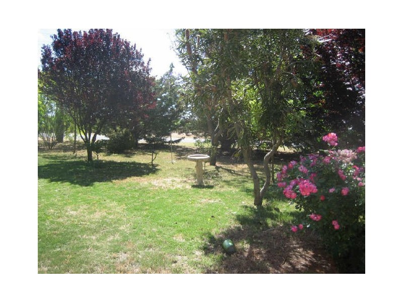 189 Gallary Terrace, Lyrup SA 5343