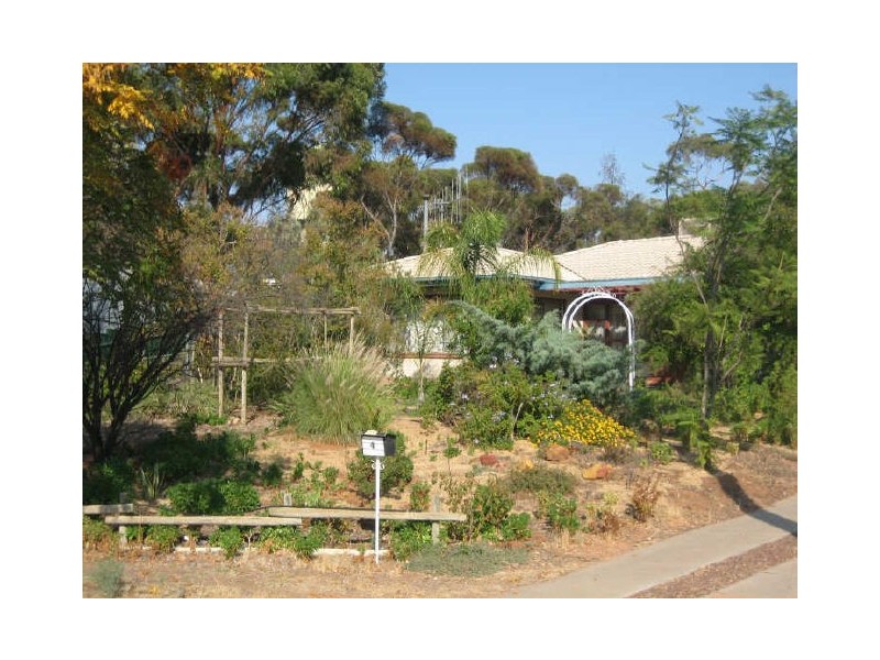 4 Derrick Street, Berri SA 5343