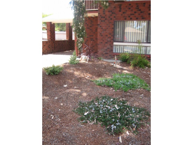 2/4 Sultana Street, Berri SA 5343