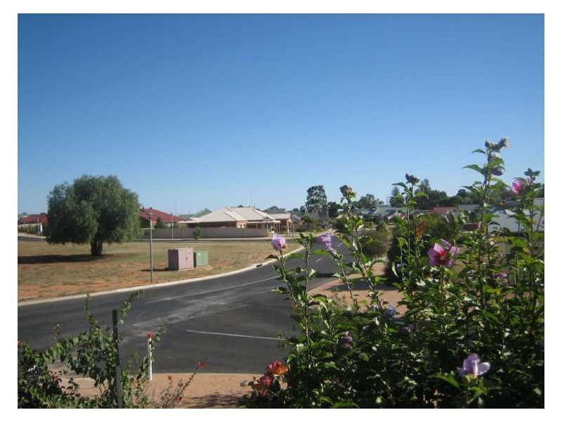 1 Rosenthal Drive, Berri SA 5343