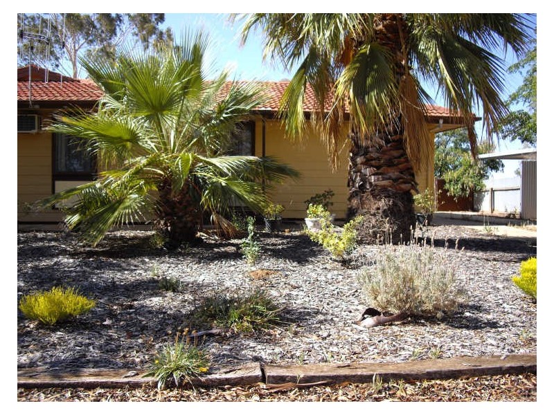 22 Jones Street, Berri SA 5343