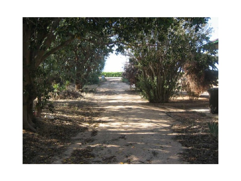 467 Alamein Avenue, Loxton SA 5333