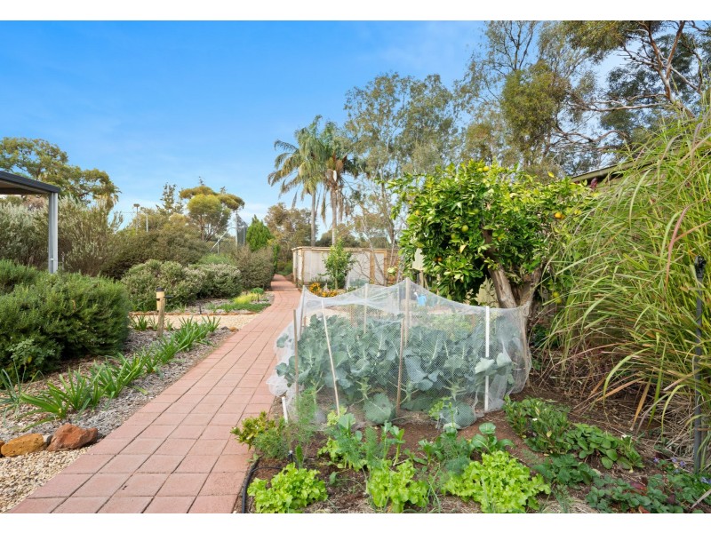 29 Old Sturt Highway, Berri SA 5343