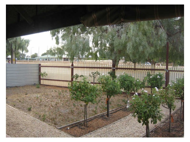 71 Bookpurnong Terrace, Loxton SA 5333