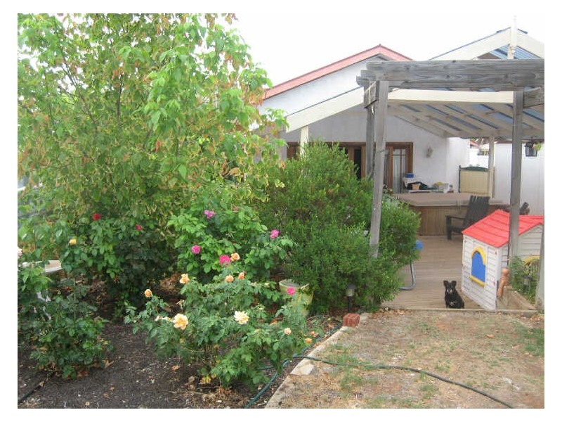 71 Bookpurnong Terrace, Loxton SA 5333