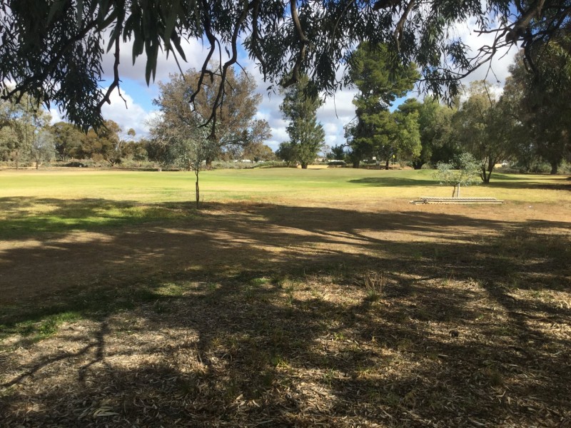 198 Nookamka Terrace, Barmera SA 5345