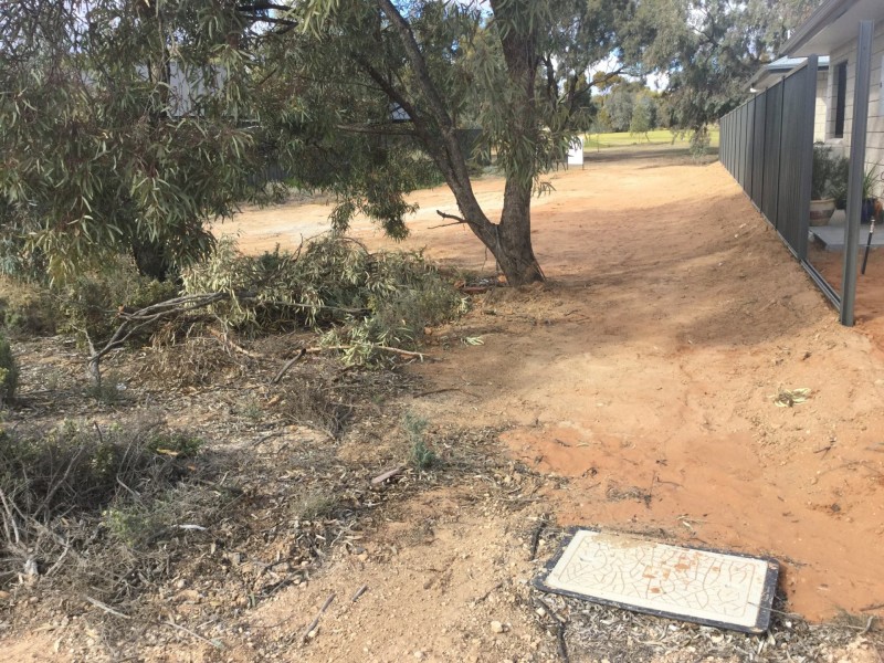 198 Nookamka Terrace, Barmera SA 5345