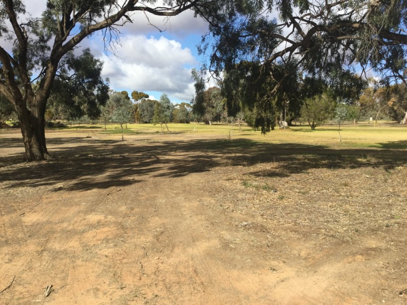 198 Nookamka Terrace, Barmera SA 5345