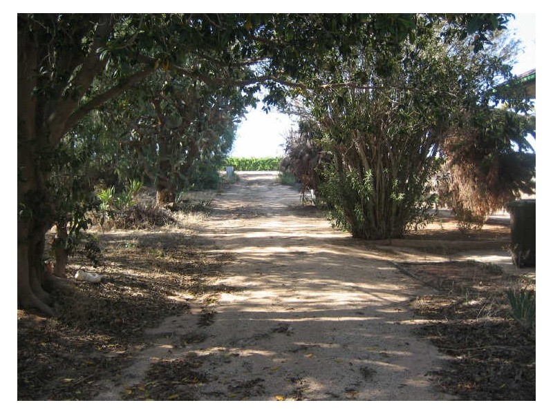 Post 245 Alamein Avenue, Loxton SA 5333