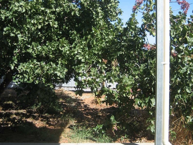 Morrison Road, Monash SA 5342