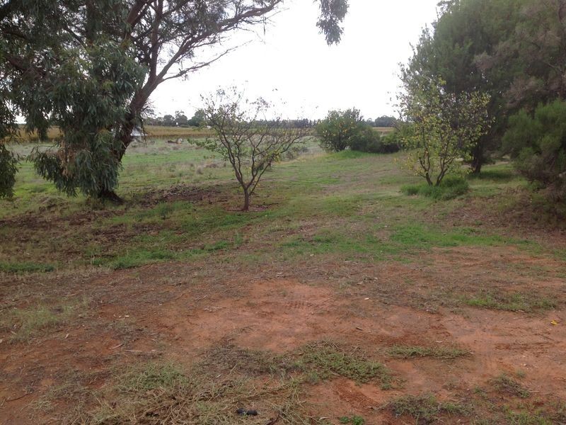Morrison Road, Monash SA 5342
