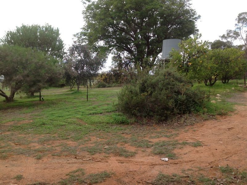 Morrison Road, Monash SA 5342