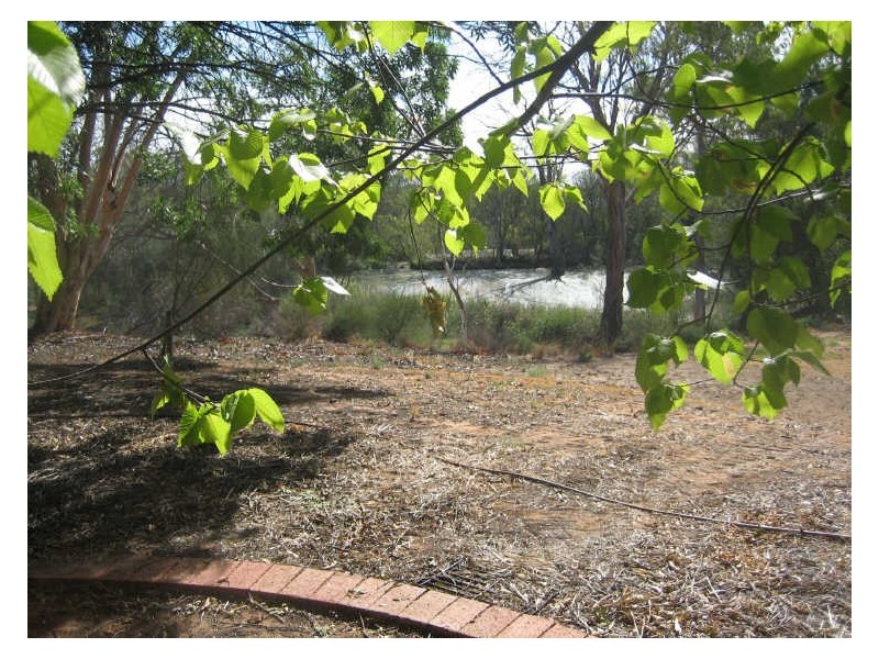 Sect. 429 Bookpurnong Road, Berri SA 5343