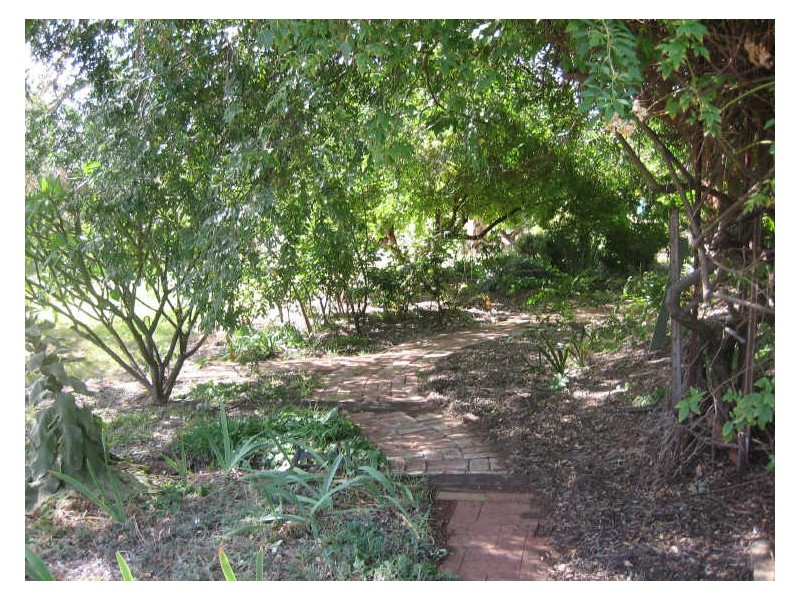 Sect. 429 Bookpurnong Road, Berri SA 5343