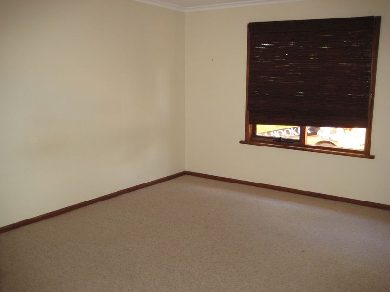 395 Hunt Road, Barmera SA 5345