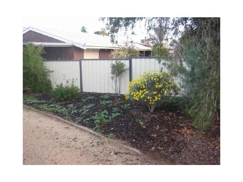 123 BOOKPURNONG TERRACE, Loxton SA 5333