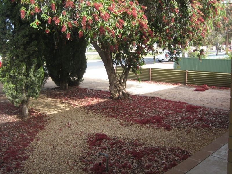 68A Zante Road, Berri SA 5343