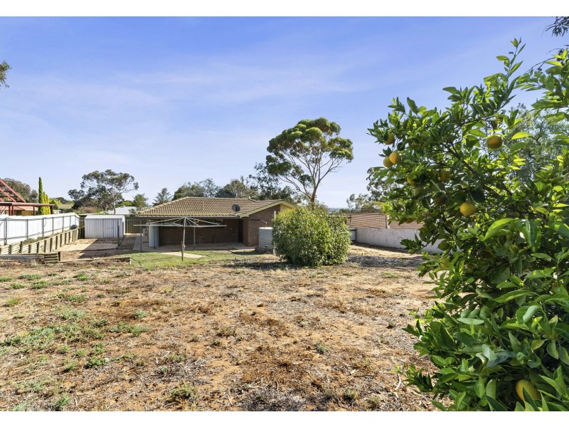 6 Kaesler Street, Loxton SA 5333