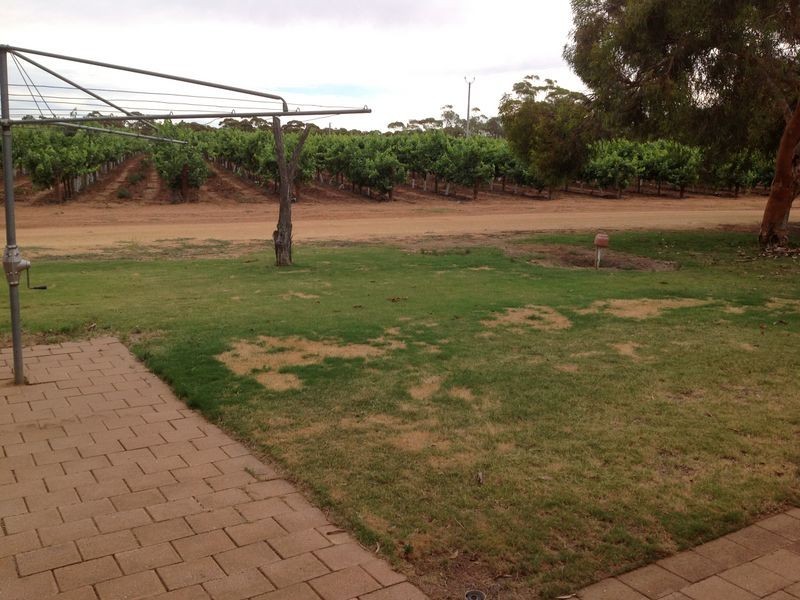 Post  51 Bollenhagen Road, Monash SA 5342