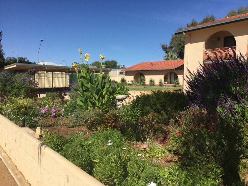 6/86 Nookamka Terrace, Barmera SA 5345