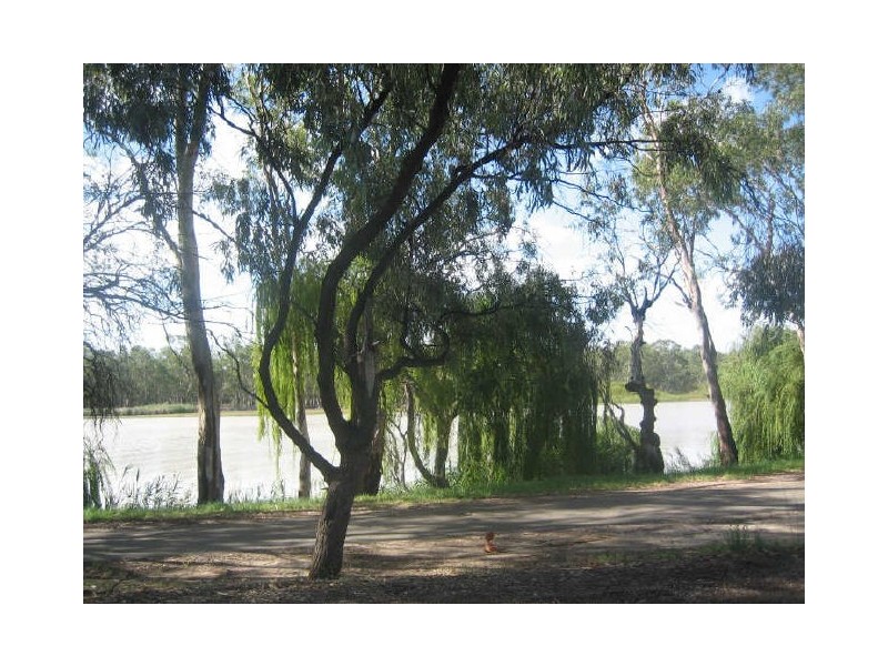 11 Evans Road, Renmark SA 5341