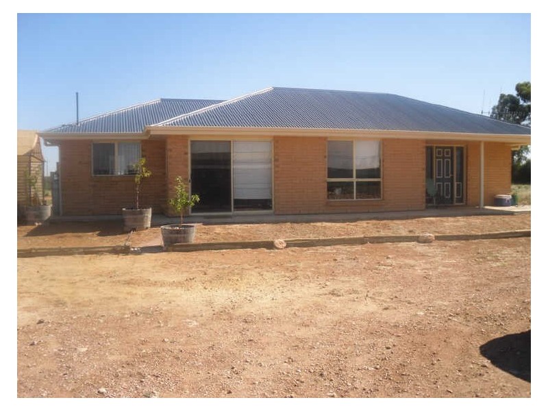 888 Coats Road, Loveday SA 5345
