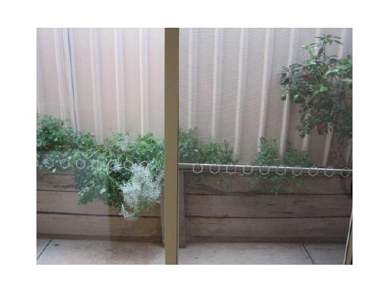 16 McLean Street, Berri SA 5343