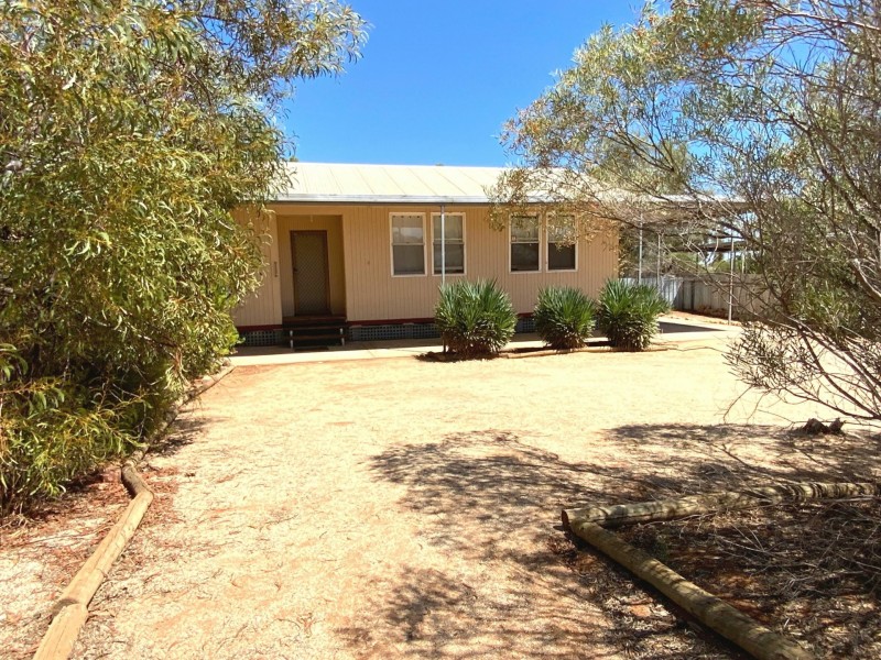 43 McGregor Street, Berri SA 5343