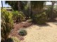 1 Quondong Street, Renmark SA 5341