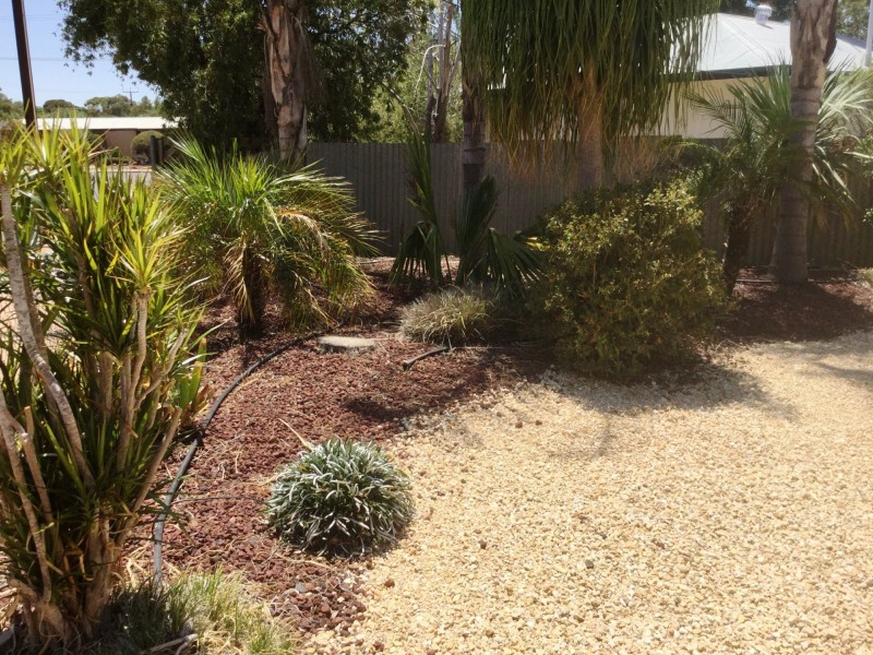 1 Quondong Street, Renmark SA 5341